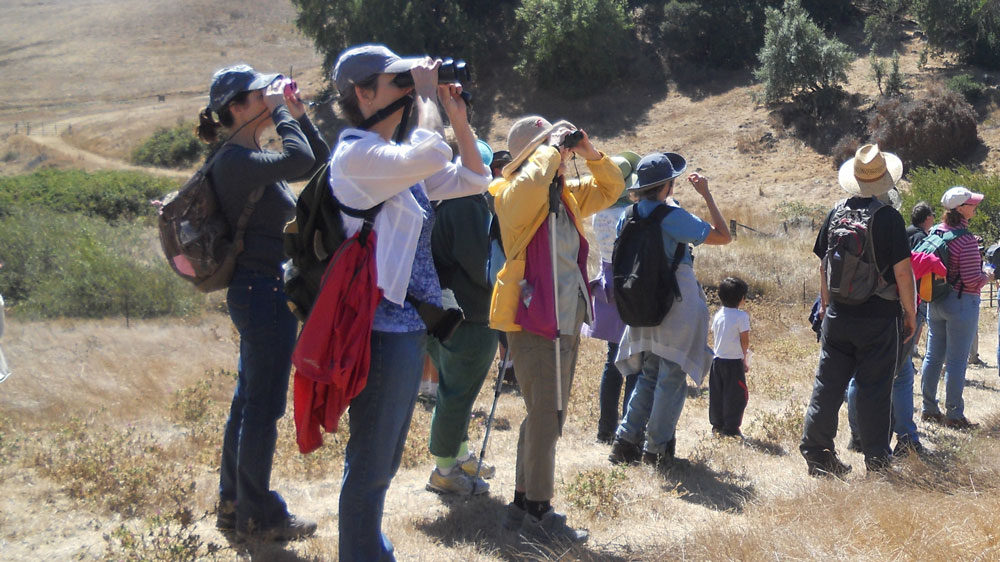A raptor tour hike at Lynch Canyon